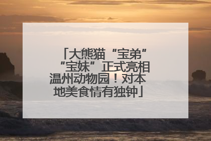 大熊猫“宝弟”“宝妹”正式亮相温州动物园！对本地美食情有独钟