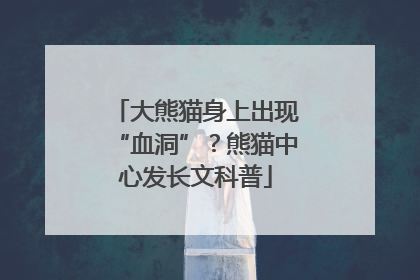 大熊猫身上出现“血洞”？熊猫中心发长文科普