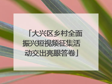 大兴区乡村全面振兴短视频征集活动交出亮眼答卷
