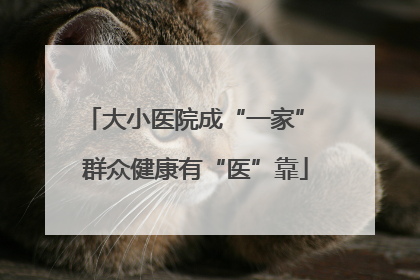 大小医院成“一家” 群众健康有“医”靠