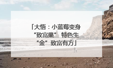 大悟：小蓝莓变身“致富果” 特色生“金”致富有方