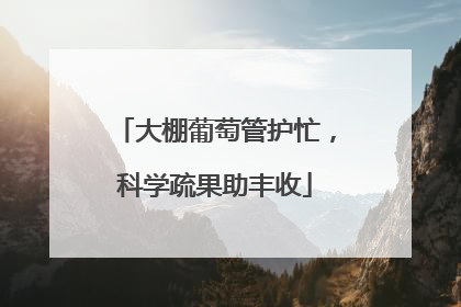 大棚葡萄管护忙，科学疏果助丰收