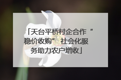 天台平桥村企合作“稳价收购” 社会化服务助力农户增收
