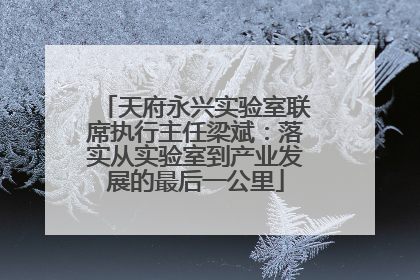 天府永兴实验室联席执行主任梁斌：落实从实验室到产业发展的最后一公里