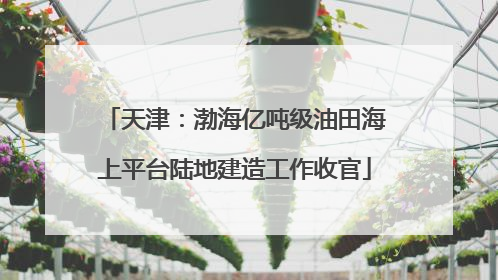 天津：渤海亿吨级油田海上平台陆地建造工作收官