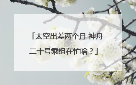 太空出差两个月 神舟二十号乘组在忙啥？
