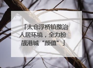 太仓浮桥镇整治人居环境，全力扮靓港城“颜值”
