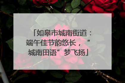 如皋市城南街道：端午佳节韵悠长，“城南田语”梦飞扬
