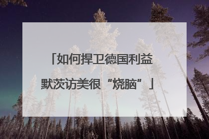 如何捍卫德国利益 默茨访美很“烧脑”