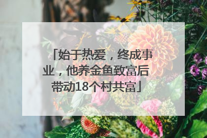 始于热爱，终成事业，他养金鱼致富后带动18个村共富