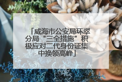 威海市公安局环翠分局“三全措施”积极应对二代身份证集中换领高峰