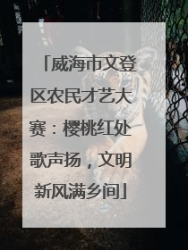 威海市文登区农民才艺大赛：樱桃红处歌声扬，文明新风满乡间