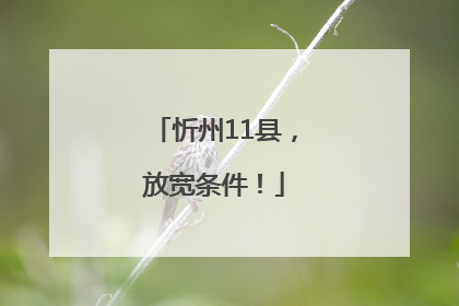 忻州11县，放宽条件！