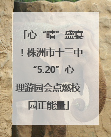 心“晴”盛宴！株洲市十三中“5.20”心理游园会点燃校园正能量