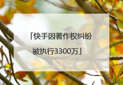 快手因著作权纠纷被执行3300万