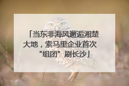 当东非海风邂逅湘楚大地，索马里企业首次“组团”刷长沙