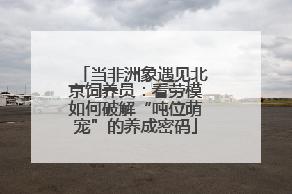 当非洲象遇见北京饲养员：看劳模如何破解“吨位萌宠”的养成密码