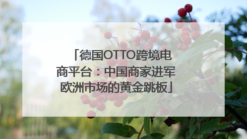 德国OTTO跨境电商平台：中国商家进军欧洲市场的黄金跳板