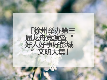 徐州举办第三届龙舟竞渡暨“好人好事好彭城”文明大集