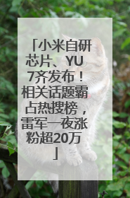 小米自研芯片、YU7齐发布！相关话题霸占热搜榜，雷军一夜涨粉超20万