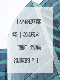 小丽逛菜场｜苏超这“鹅”到底谁家的？
