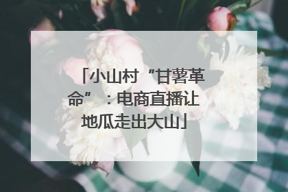 小山村“甘薯革命”：电商直播让地瓜走出大山