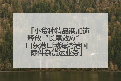 小货种精品港加速释放“长尾效应” 山东港口渤海湾港国际件杂货运业务