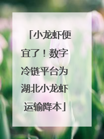 小龙虾便宜了！数字冷链平台为湖北小龙虾运输降本