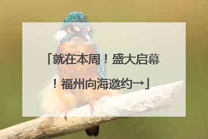就在本周！盛大启幕！福州向海邀约→