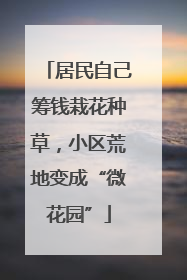 居民自己筹钱栽花种草，小区荒地变成“微花园”
