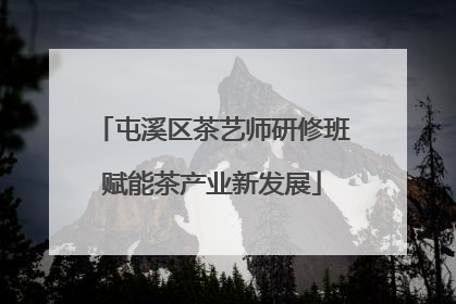 屯溪区茶艺师研修班赋能茶产业新发展