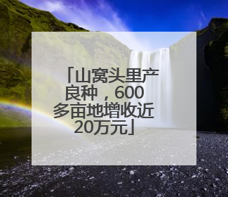 山窝头里产良种，600多亩地增收近20万元