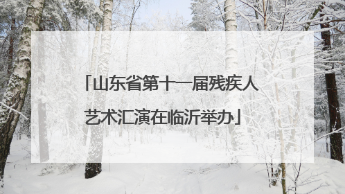 山东省第十一届残疾人艺术汇演在临沂举办