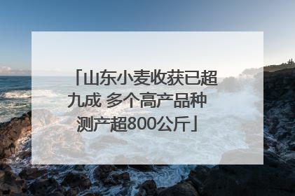 山东小麦收获已超九成 多个高产品种测产超800公斤