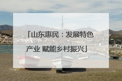 山东惠民：发展特色产业 赋能乡村振兴