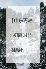 山东青岛：初夏时节插秧忙