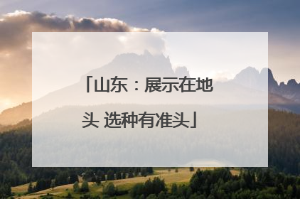 山东：展示在地头 选种有准头
