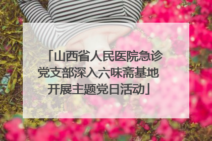 山西省人民医院急诊党支部深入六味斋基地开展主题党日活动