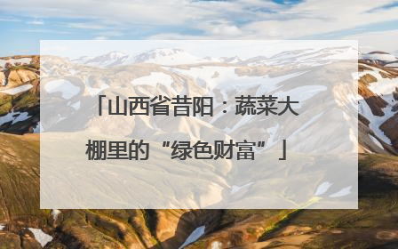 山西省昔阳：蔬菜大棚里的“绿色财富”