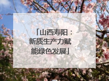 山西寿阳：新质生产力赋能绿色发展