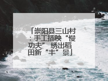崇阳县三山村：手工插秧“慢功夫” 绣出稻田新“丰”景