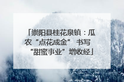 崇阳县桂花泉镇：瓜农“点花成金” 书写“甜蜜事业”增收经
