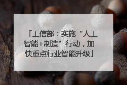 工信部：实施“人工智能+制造”行动，加快重点行业智能升级