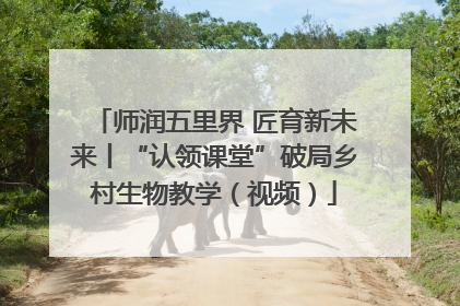 师润五里界 匠育新未来丨“认领课堂”破局乡村生物教学（视频）