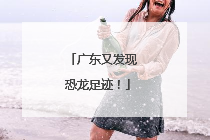 广东又发现恐龙足迹！