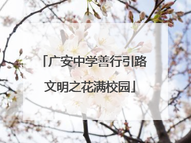 广安中学善行引路 文明之花满校园