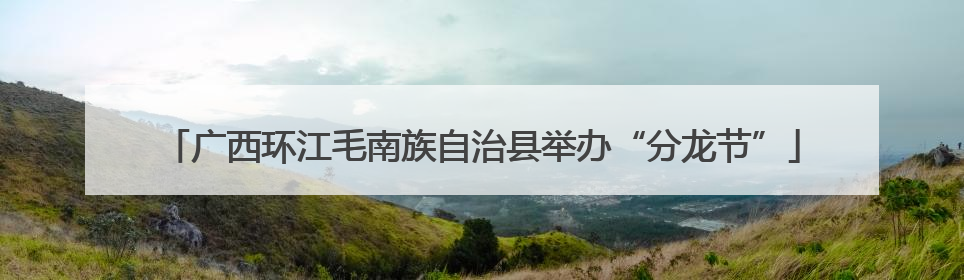 广西环江毛南族自治县举办“分龙节”