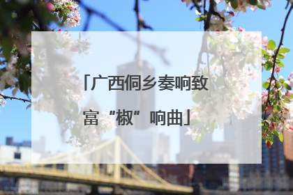 广西侗乡奏响致富“椒”响曲