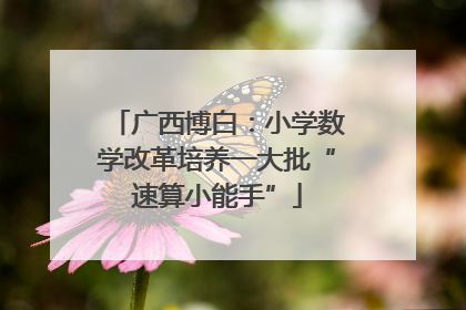广西博白：小学数学改革培养一大批“速算小能手”