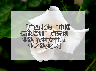 广西北海“巾帼技能培训”点亮创业路 农村女性就业之路变宽